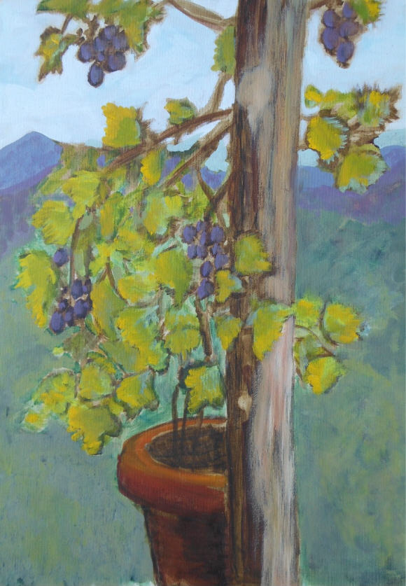 Helen Kaplan, Vine, oils