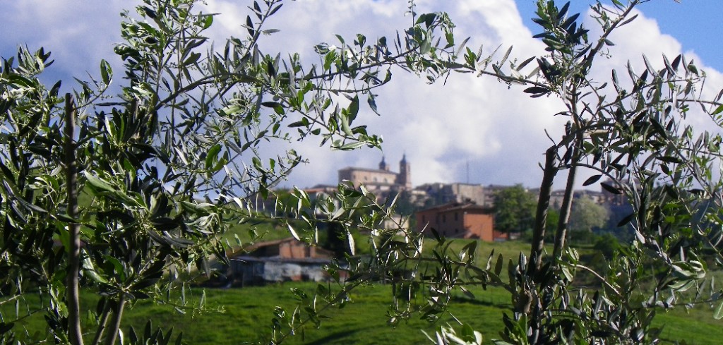 Olives and cathedral, painting holiday in Italy